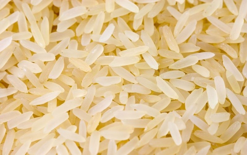 Crean arroz transgénico resistente a la sequía